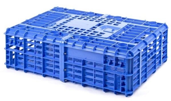 JABA PARA TRANSPORTAR POLLO VIVO 6 KG