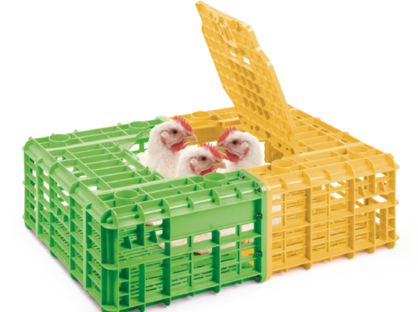 JABA PARA TRANSPORTAR POLLO PESADO 7 KG